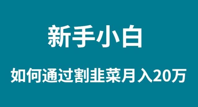 新手小白如何通过割韭菜月入 20W-副业帮