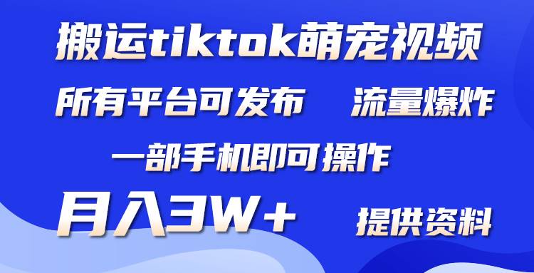 搬运Tiktok萌宠类视频，一部手机即可。所有短视频平台均可操作，月入3W+-副业帮