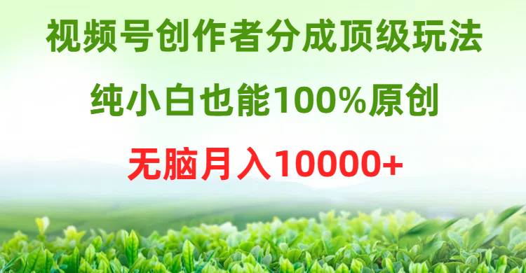 视频号创作者分成顶级玩法，纯小白也能100%原创，无脑月入10000+-副业帮