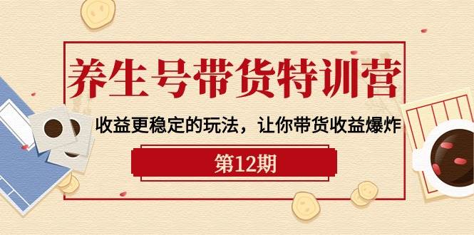 养生号带货特训营【12期】收益更稳定的玩法，让你带货收益爆炸-9节直播课-副业帮