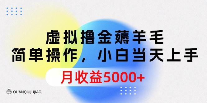 虚拟撸金薅羊毛，简单操作，小白当天上手，月收益5000+-副业帮