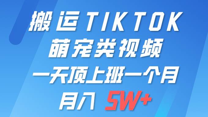 一键搬运TIKTOK萌宠类视频 一部手机即可操作 所有平台均可发布 轻松月入5W+-副业帮