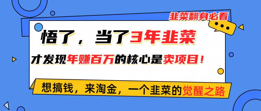 悟了，当了3年韭菜，才发现网赚圈年赚100万的核心是卖项目，含泪分享！-副业帮