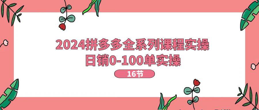 2024拼多多全系列课程实操，日销0-100单实操【16节课】-副业帮