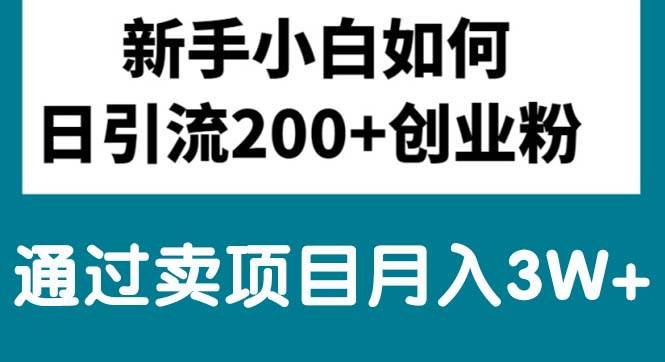 新手小白日引流200+创业粉,通过卖项目月入3W+-副业帮