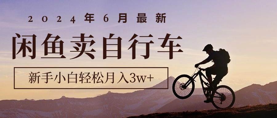 2024年6月最新闲鱼卖自行车，新手小白轻松月入3w+项目-副业帮