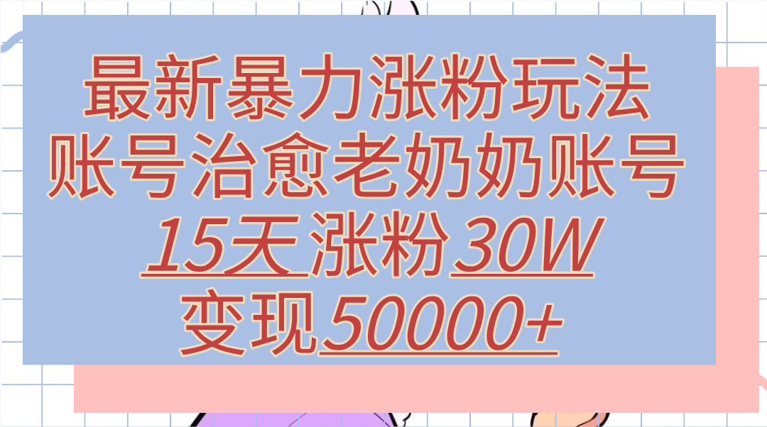 最新暴力涨粉玩法，治愈老奶奶账号，15天涨粉30W，变现50000+【揭秘】-副业帮