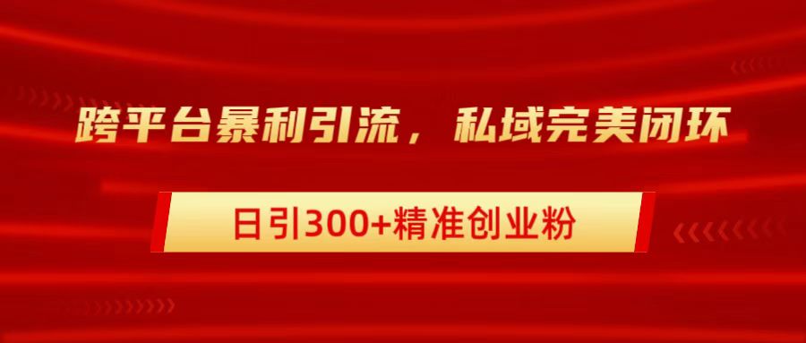 跨平台暴力引流，私域完美闭环，日引300+精准创业粉-副业帮