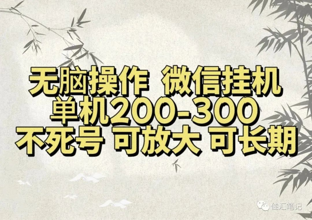 无脑操作微信视频号挂机单机200-300一天，不死号，可放大，工作室实测-副业帮