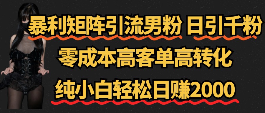 暴利矩阵引流男粉（日引千粉），零成本高客单高转化，纯小白轻松日赚2000+-副业帮