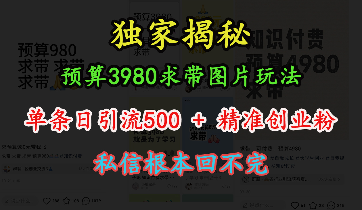 “小红书”预算3980求带 图片玩法，单条日引流500+精准创业粉，私信根本回不完-副业帮