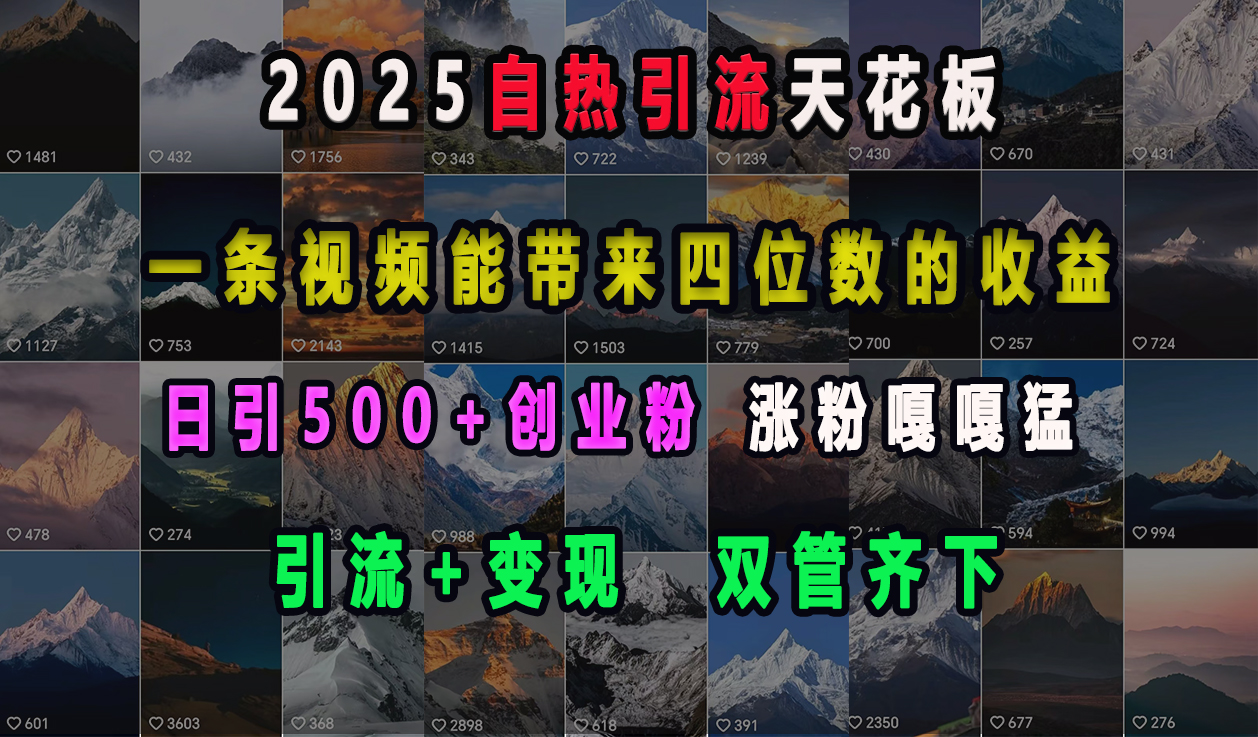 2025自热引流天花板，一条视频能带来四位数的收益，引流+变现双管齐下，日引500+创业粉，涨粉嘎嘎猛-副业帮