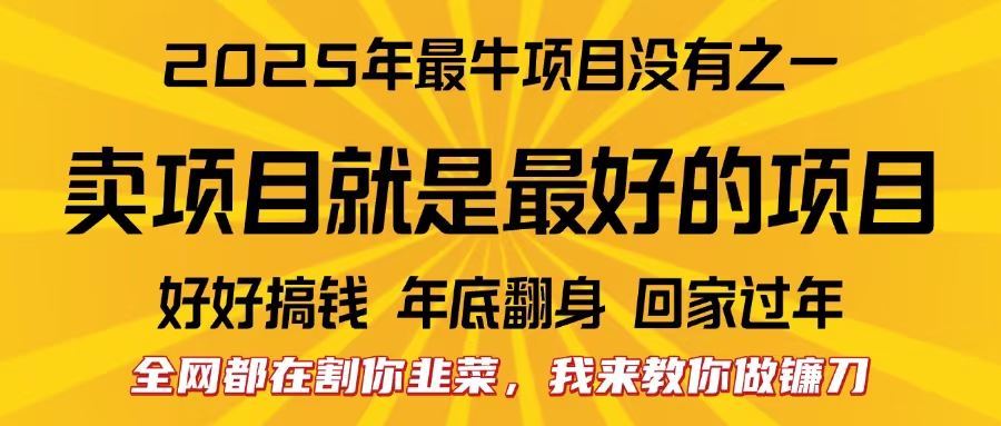 全网都在割你韭菜，我来教你做镰刀。卖项目就是最好的项目，2025年最牛互联网项目-副业帮