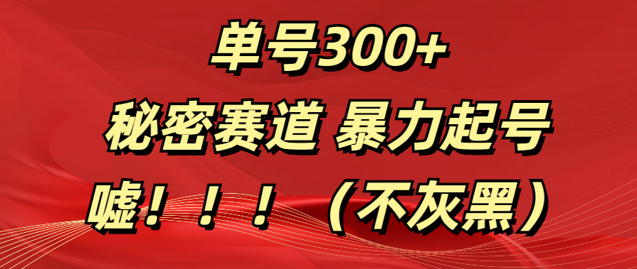 单号300+  秘密赛道 暴力起号  （不灰黑）-副业帮